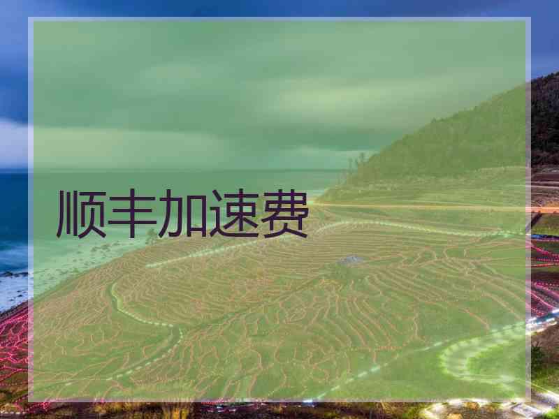 顺丰加速费