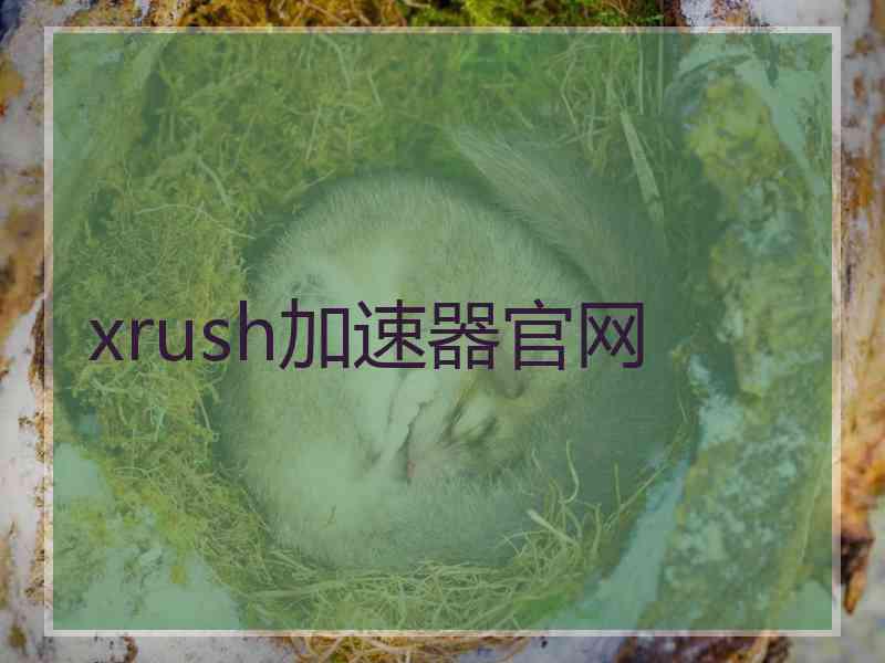 xrush加速器官网