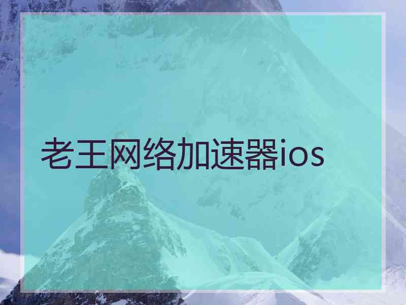 老王网络加速器ios