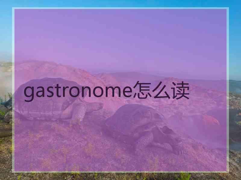 gastronome怎么读