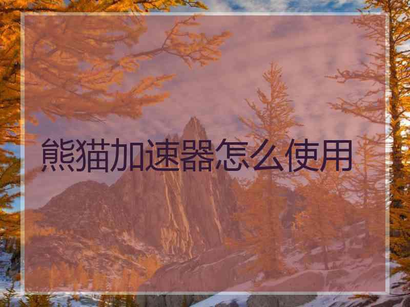 熊猫加速器怎么使用