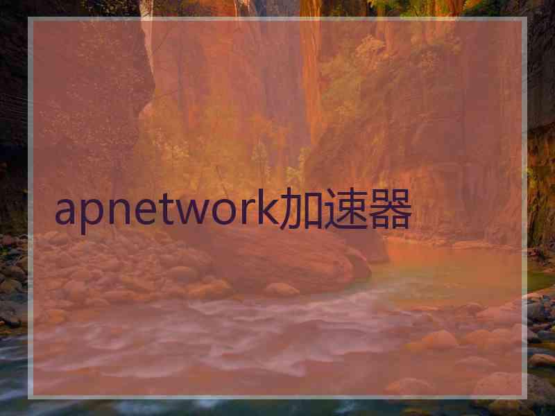 apnetwork加速器