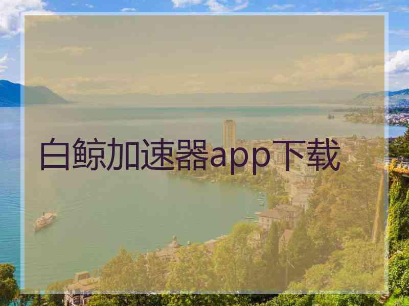 白鲸加速器app下载