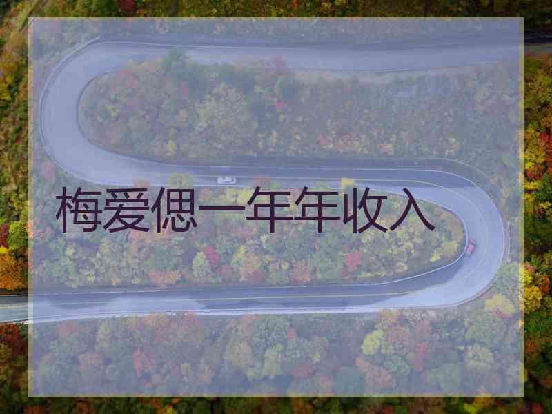 梅爱偲一年年收入