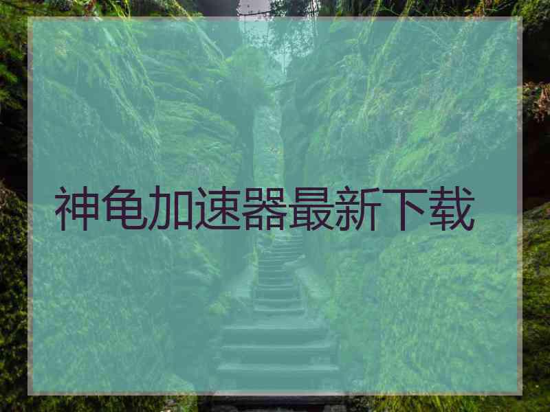 神龟加速器最新下载