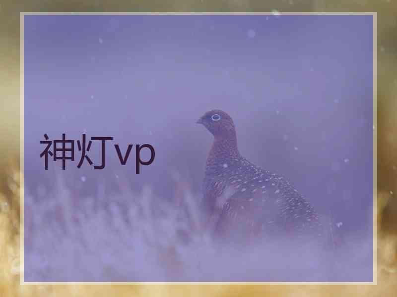 神灯vp