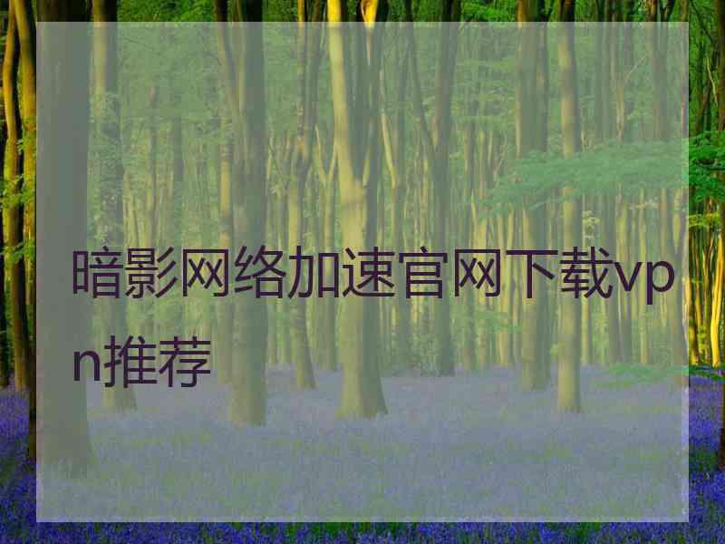 暗影网络加速官网下载vpn推荐