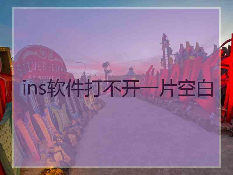 ins软件打不开一片空白