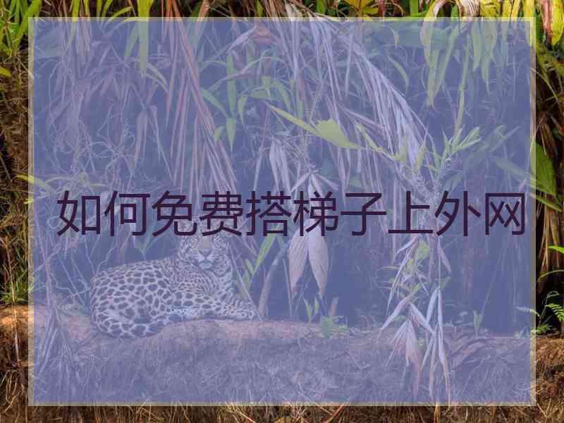 如何免费搭梯子上外网