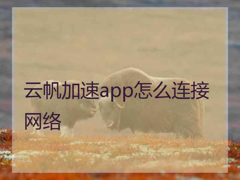 云帆加速app怎么连接网络
