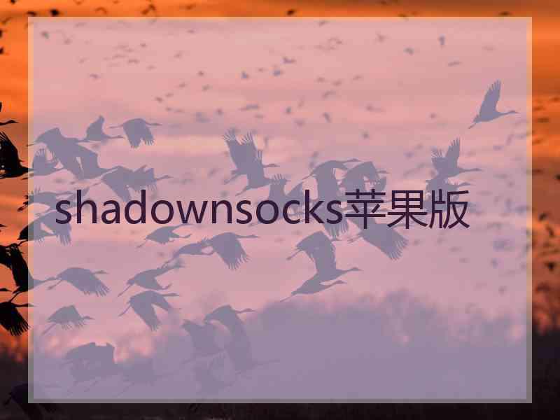 shadownsocks苹果版