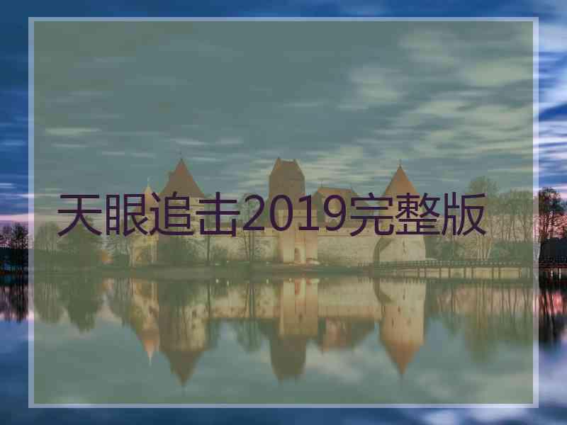 天眼追击2019完整版