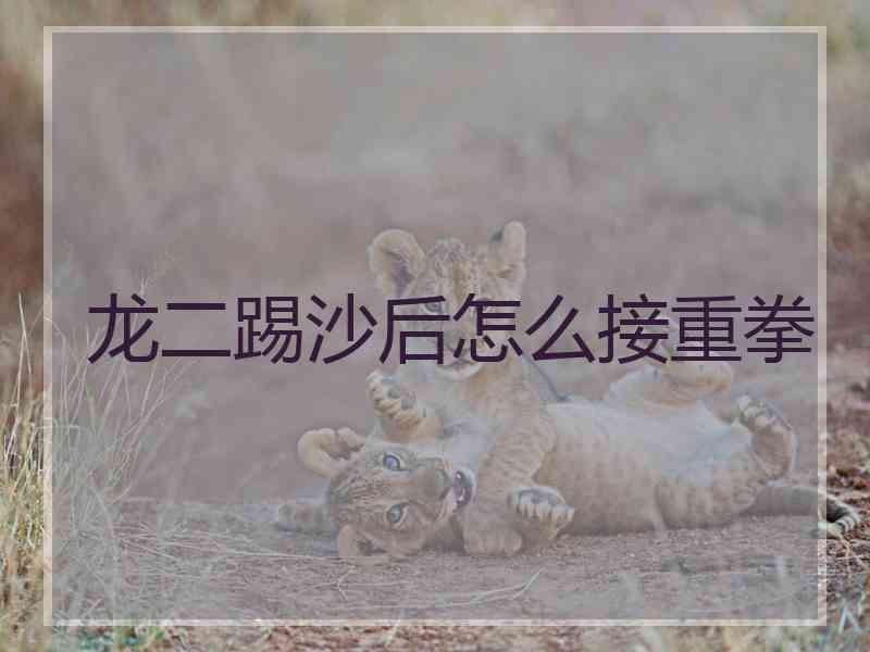 龙二踢沙后怎么接重拳