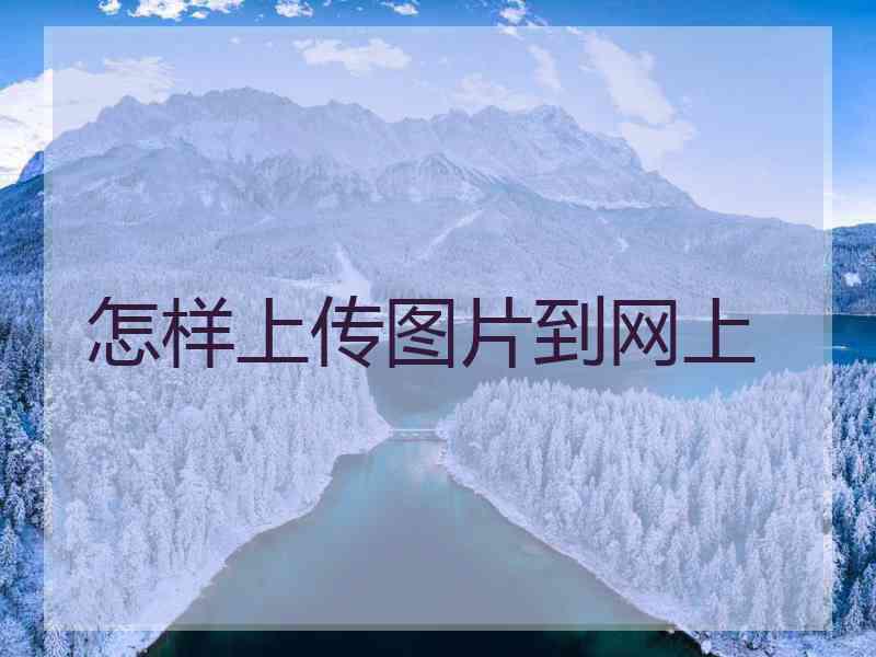 怎样上传图片到网上