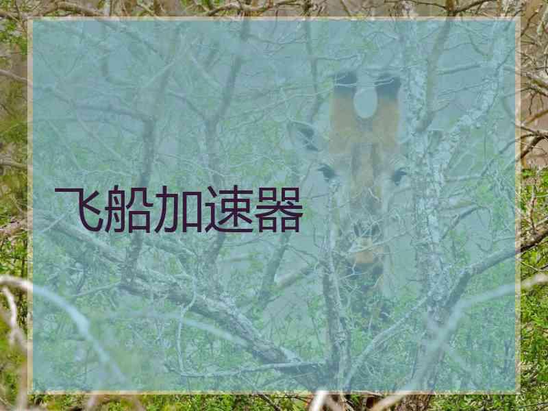 飞船加速器
