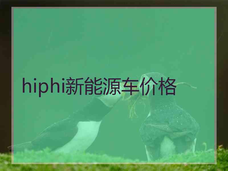 hiphi新能源车价格