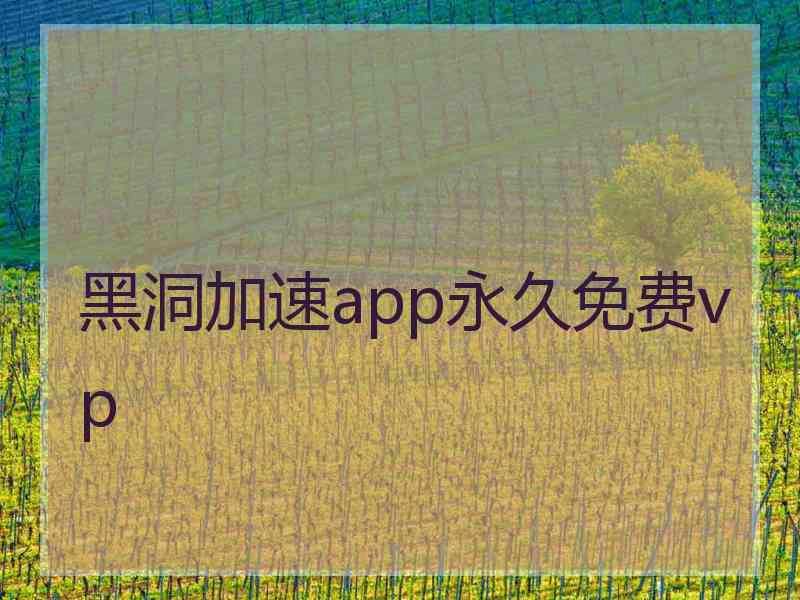 黑洞加速app永久免费vp
