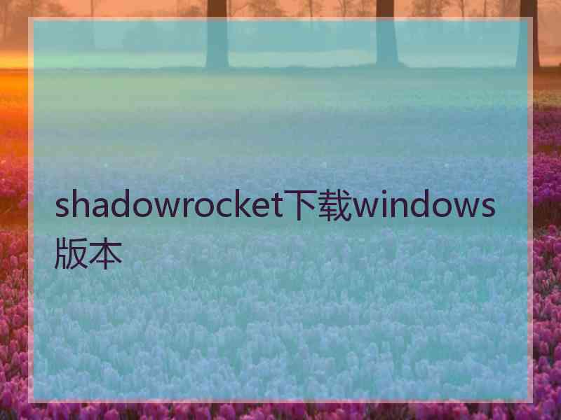 shadowrocket下载windows版本