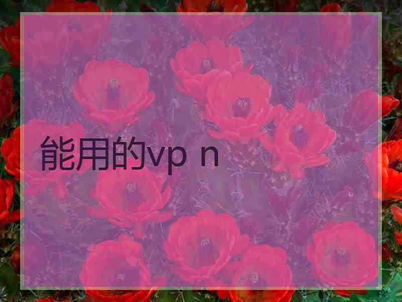 能用的vp n