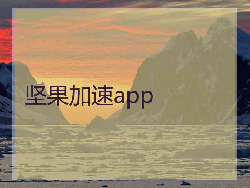 坚果加速app