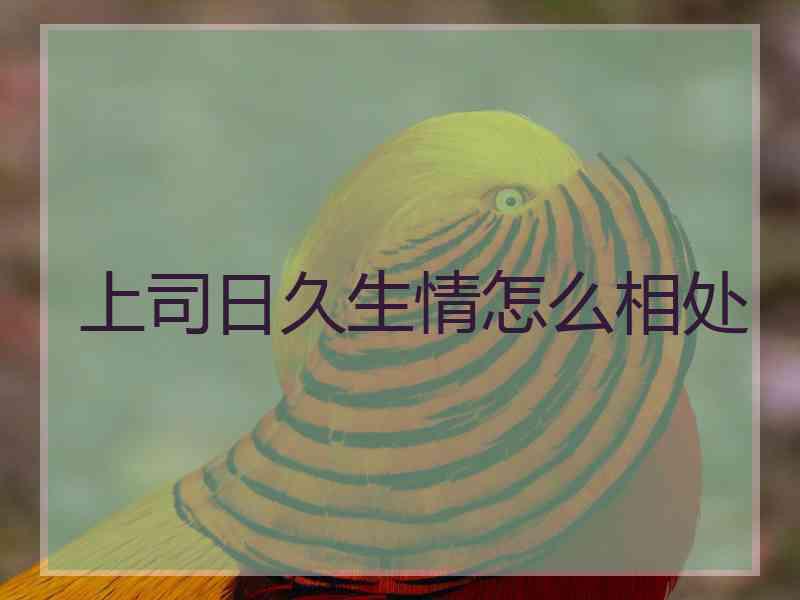 上司日久生情怎么相处