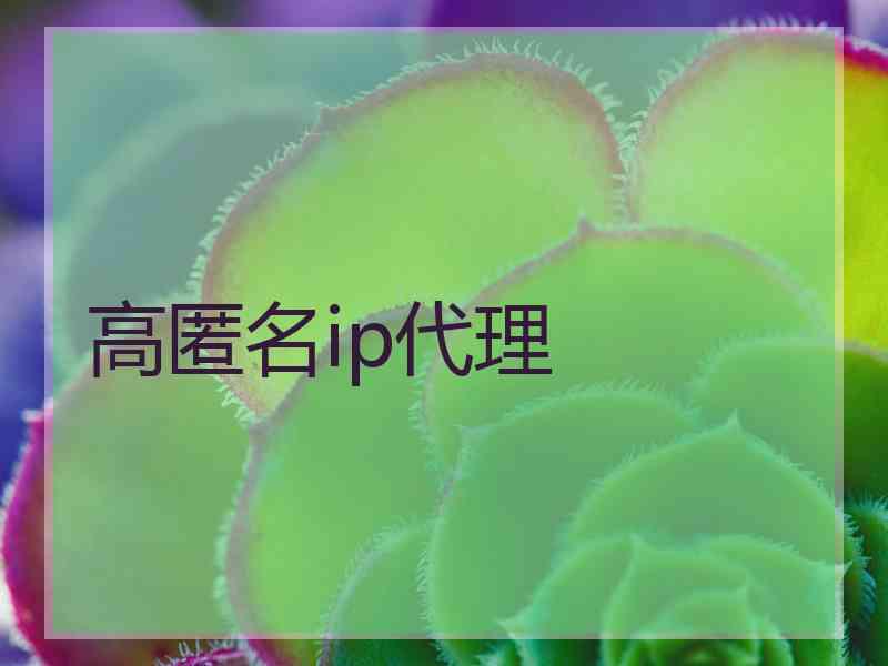 高匿名ip代理