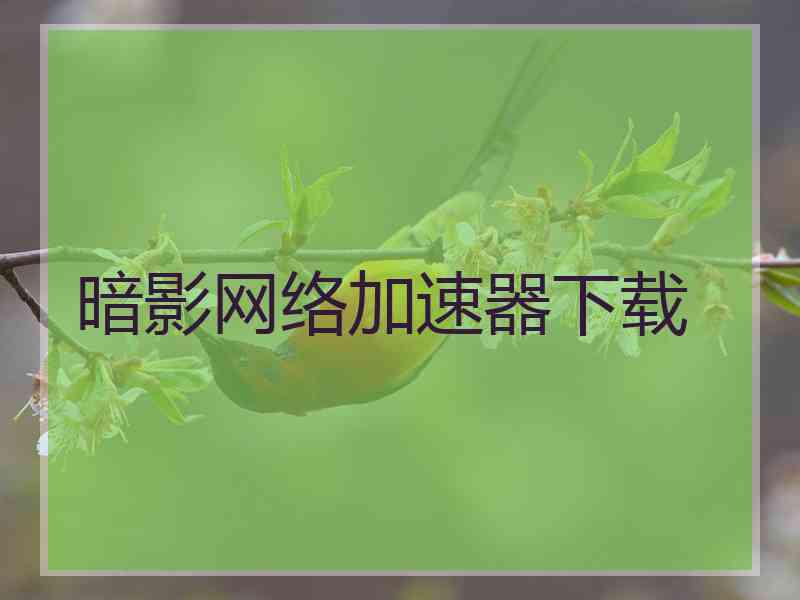 暗影网络加速器下载