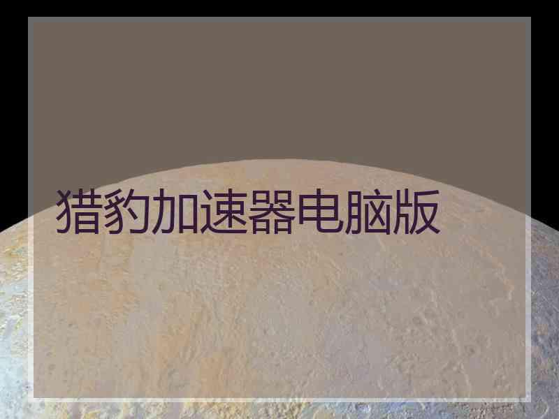 猎豹加速器电脑版