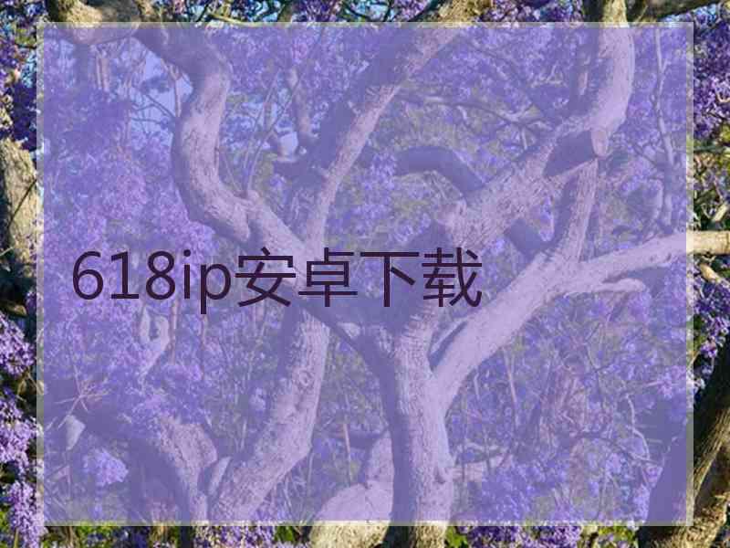 618ip安卓下载