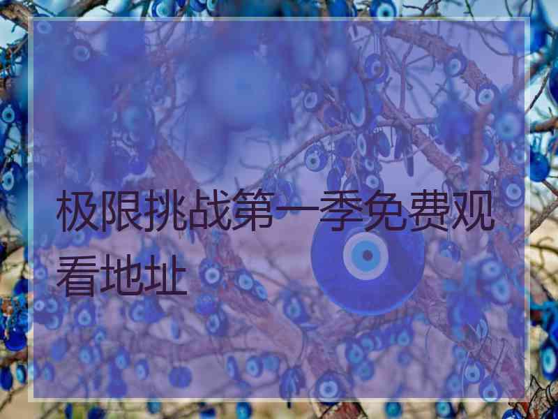 极限挑战第一季免费观看地址