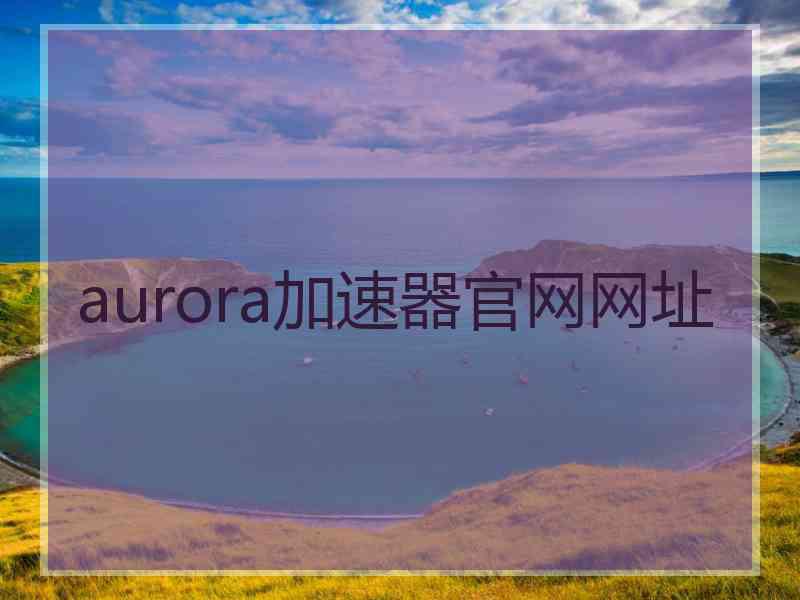 aurora加速器官网网址