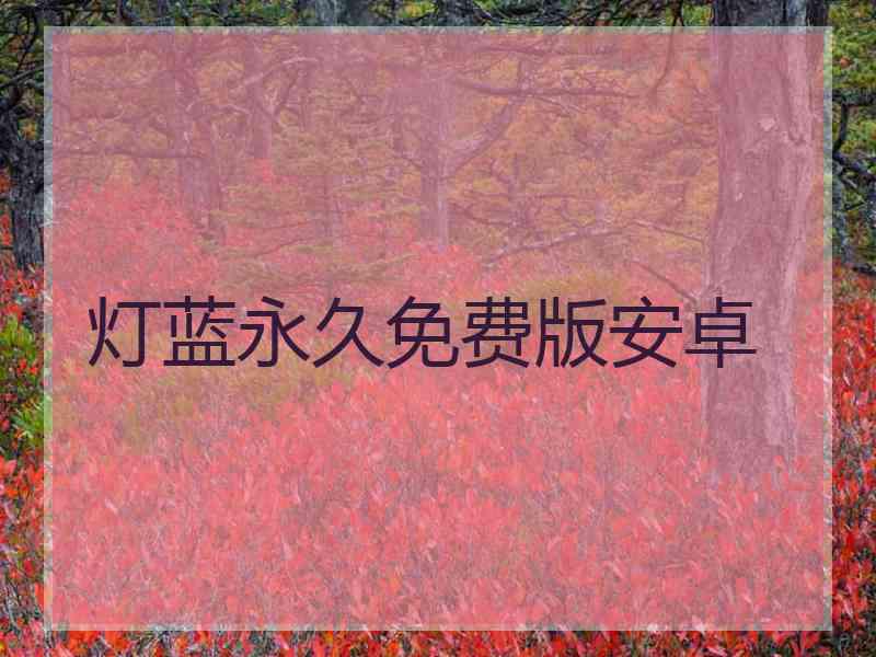 灯蓝永久免费版安卓