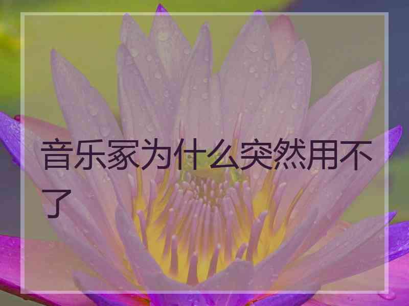音乐冢为什么突然用不了