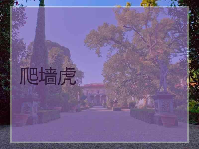 爬墙虎