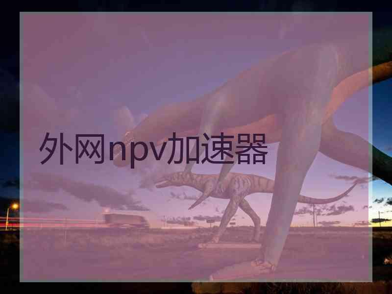 外网npv加速器