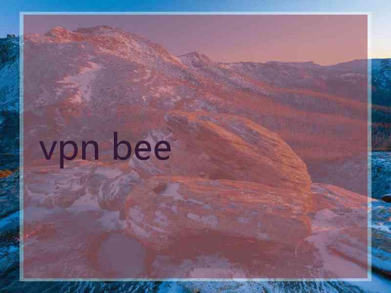 vpn bee