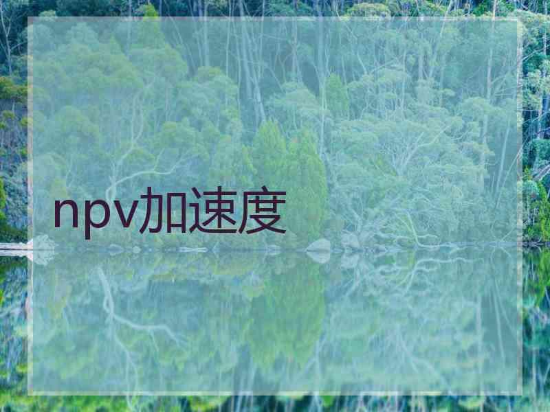 npv加速度