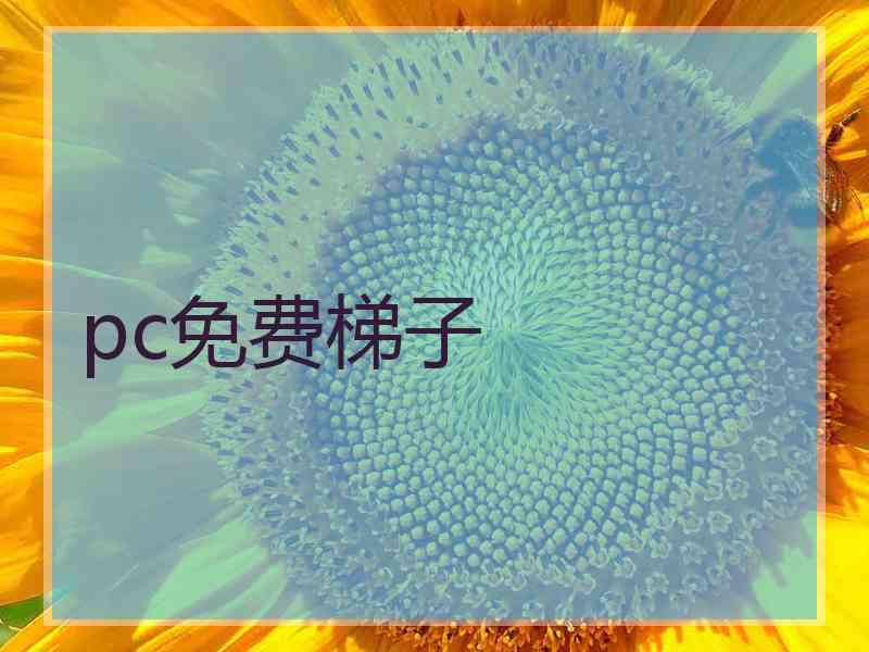 pc免费梯子