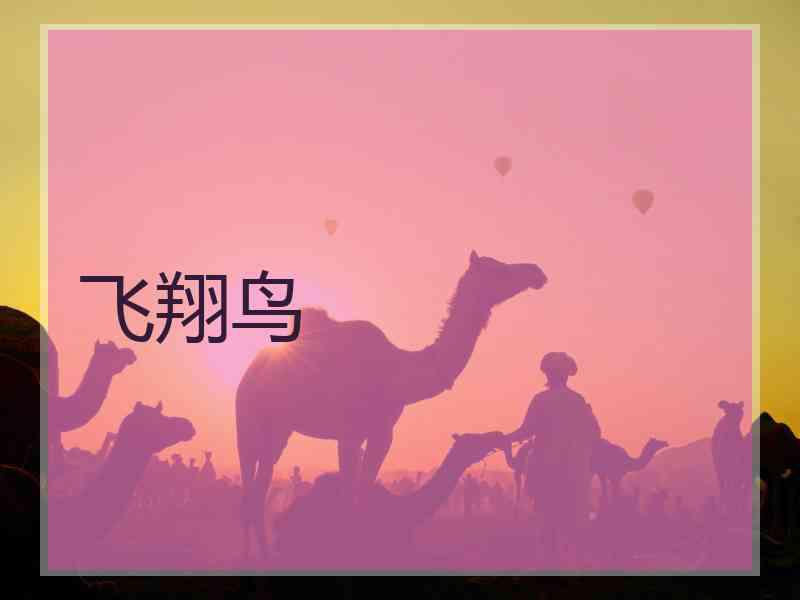 飞翔鸟