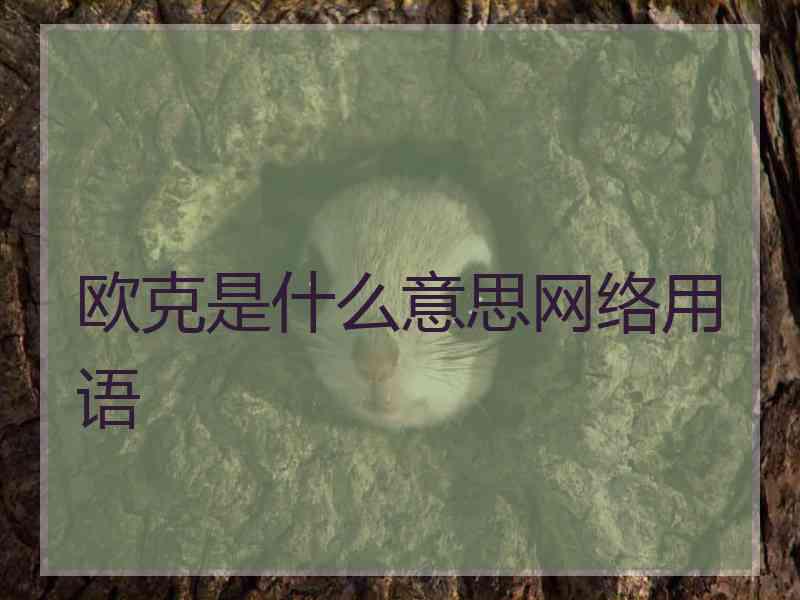 欧克是什么意思网络用语