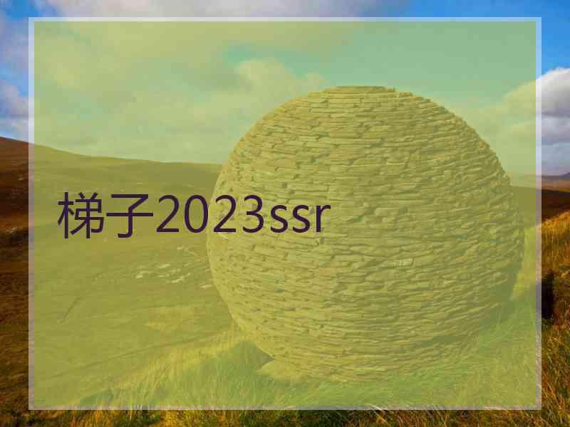 梯子2023ssr