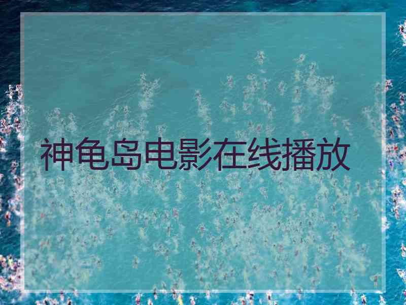 神龟岛电影在线播放