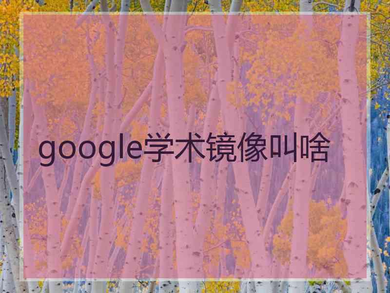 google学术镜像叫啥