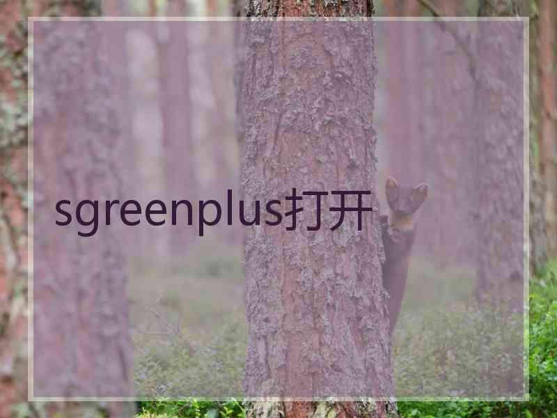 sgreenplus打开