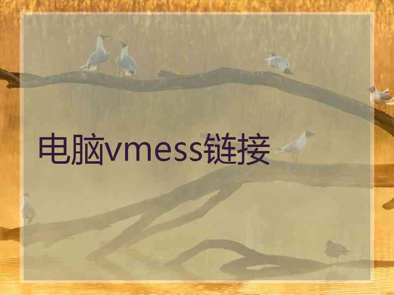 电脑vmess链接