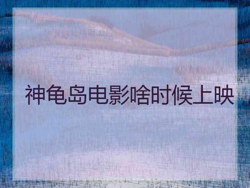 神龟岛电影啥时候上映