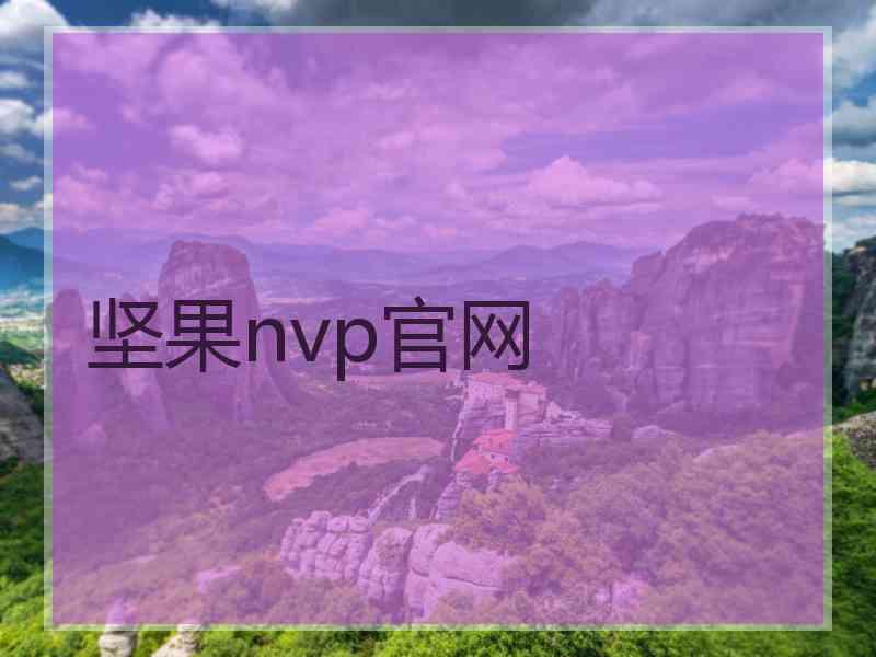 坚果nvp官网