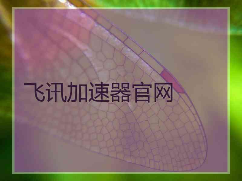 飞讯加速器官网