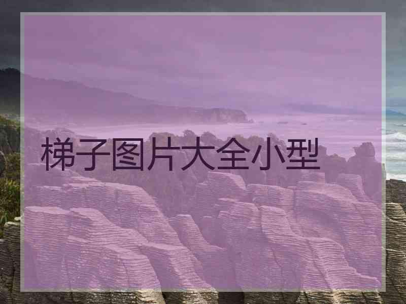 梯子图片大全小型
