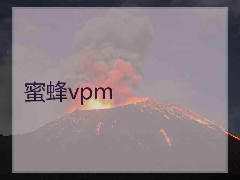 蜜蜂vpm